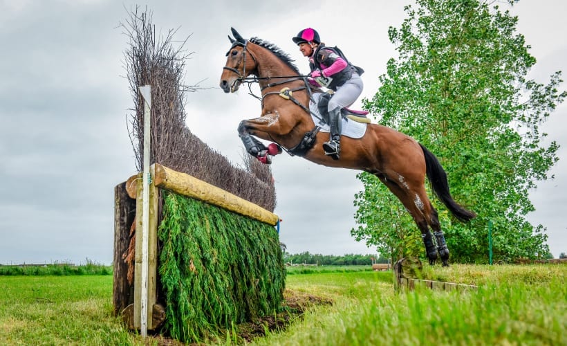 Horse jumping cross country fence