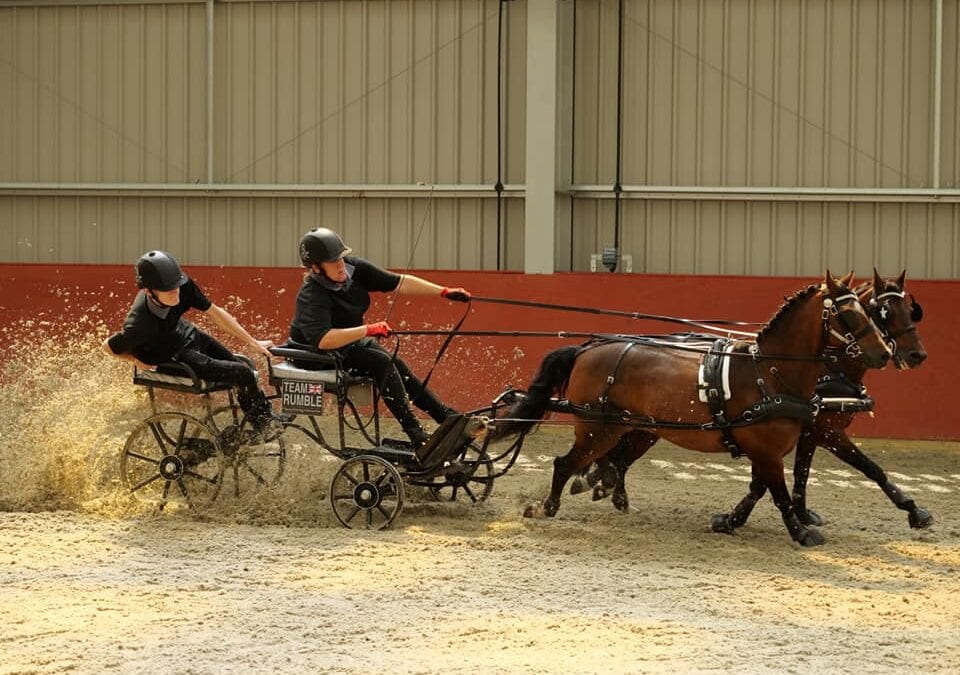 An Introduction to Carriage Driving